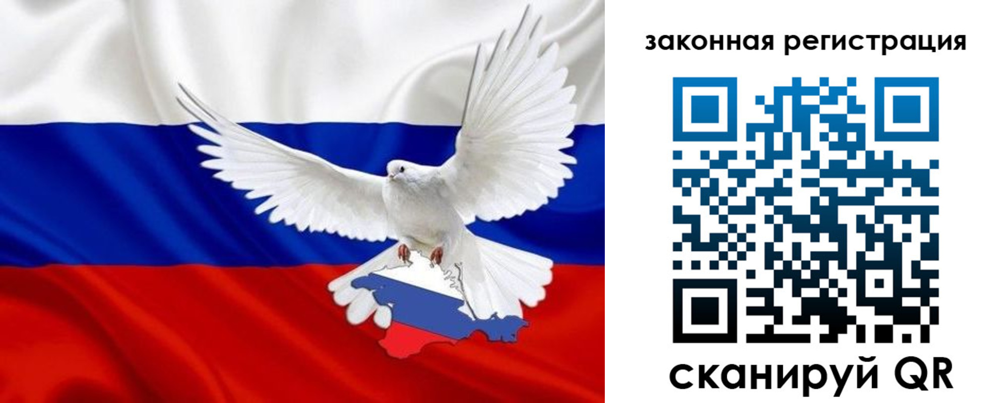 где прописаться в Дмитрове